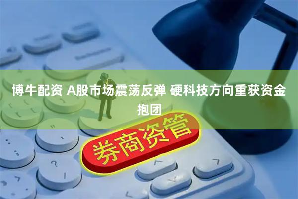 博牛配资 A股市场震荡反弹 硬科技方向重获资金抱团