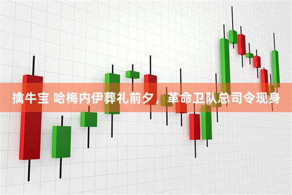 擒牛宝 哈梅内伊葬礼前夕，革命卫队总司令现身