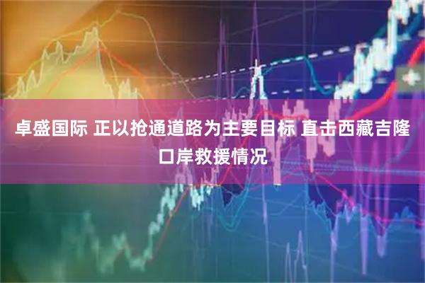 卓盛国际 正以抢通道路为主要目标 直击西藏吉隆口岸救援情况
